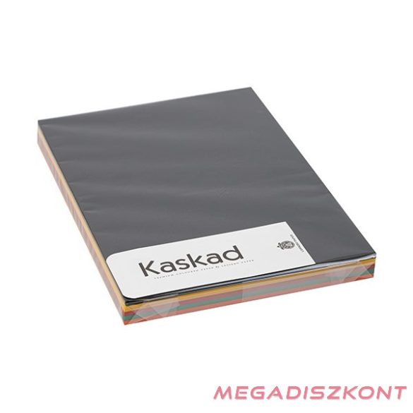 Dekorációs karton KASKAD A/4 2 oldalas 160 g élénk vegyes színek 5x25 íves