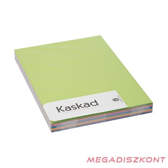 Dekorációs karton KASKAD A/4 2 oldalas 160 g intenzív vegyes színek 5x25 íves