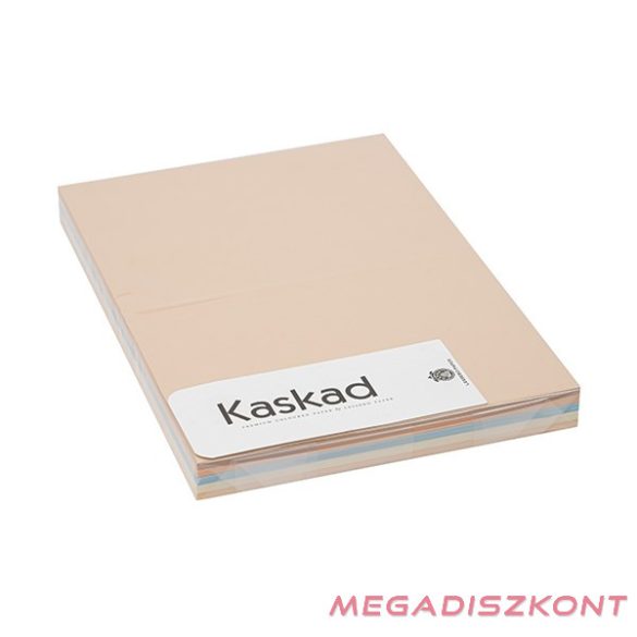 Dekorációs karton KASKAD A/4 2 oldalas 160 g pasztell vegyes színek 5x25 íves