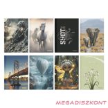 Beírókönyv vonalas STREET A/4 96 lapos S-Line keményfedelű vegyes mintákkal