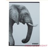 Füzet kockás STREET A/4 54 lapos Safari