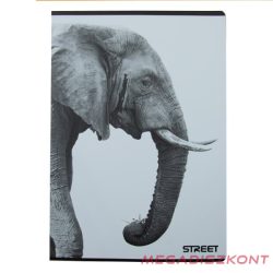 Füzet kockás STREET A/4 54 lapos Safari