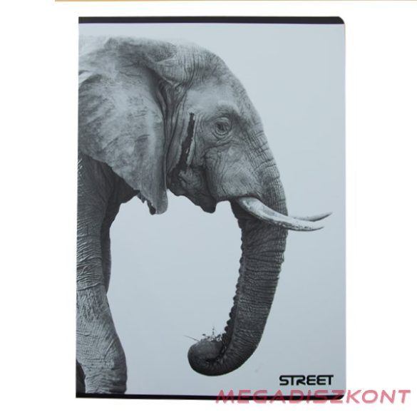 Füzet kockás STREET A/4 54 lapos Safari