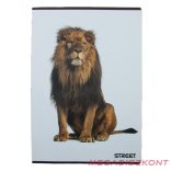 Füzet kockás STREET A/4 54 lapos Safari