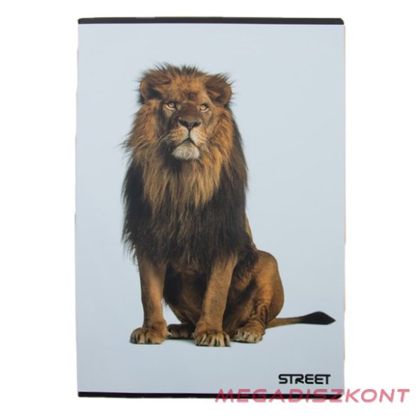 Füzet kockás STREET A/4 54 lapos Safari