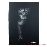 Füzet kockás STREET A/4 54 lapos Safari