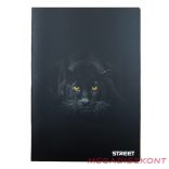 Füzet kockás STREET A/4 54 lapos Safari