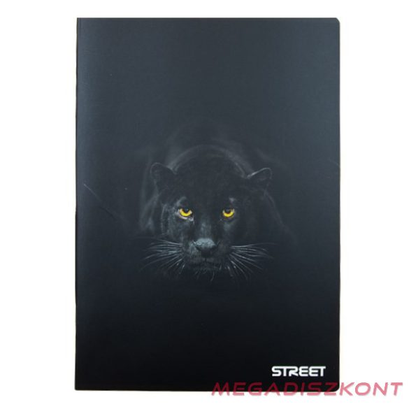 Füzet kockás STREET A/4 54 lapos Safari