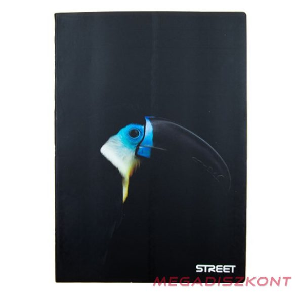 Füzet kockás STREET A/4 54 lapos Safari