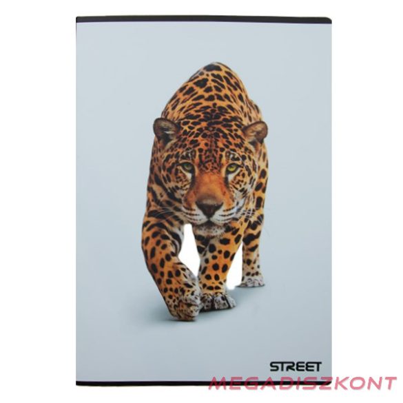 Füzet kockás STREET A/4 54 lapos Safari