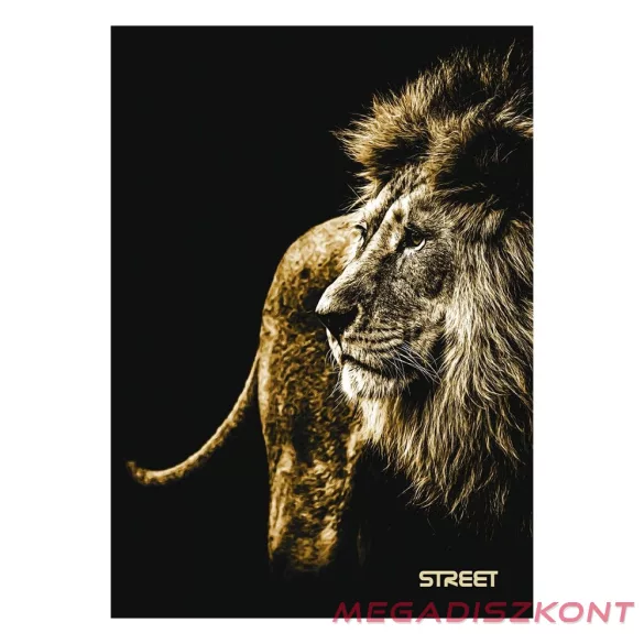 Füzet vonalas STREET A/5 54 lapos Safari margóval