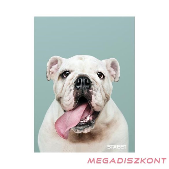 Füzet vonalas STREET A/5 54 lapos Friends margóval