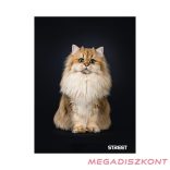 Füzet vonalas STREET A/5 54 lapos Friends margóval