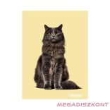 Füzet vonalas STREET A/5 54 lapos Friends margóval