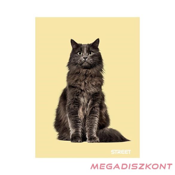 Füzet vonalas STREET A/5 54 lapos Friends margóval