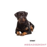 Füzet vonalas STREET A/5 54 lapos Friends margóval