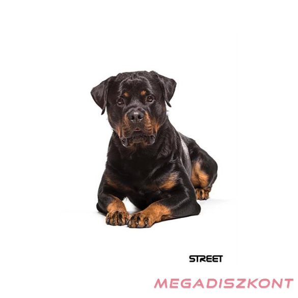 Füzet vonalas STREET A/5 54 lapos Friends margóval