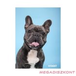 Füzet vonalas STREET A/5 54 lapos Friends margóval