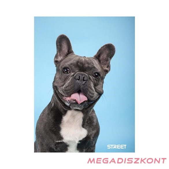 Füzet vonalas STREET A/5 54 lapos Friends margóval