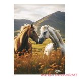 Füzet sima STREET A/5 52 lapos S-Line1