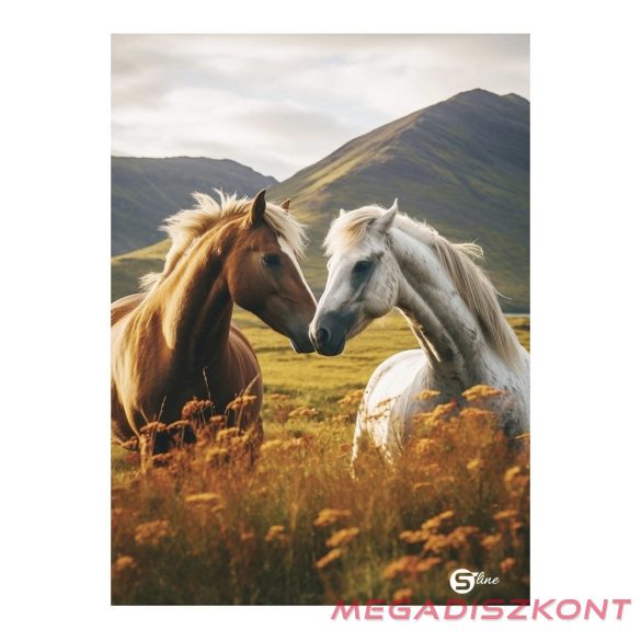 Füzet sima STREET A/5 52 lapos S-Line1