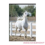 Füzet kockás STREET A/5 52 lapos S-Line2