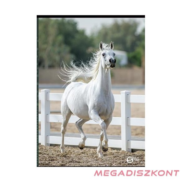 Füzet kockás STREET A/5 52 lapos S-Line2