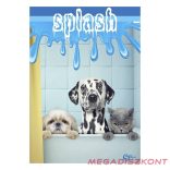 Füzet sima STREET A/5 52 lapos S-Line2