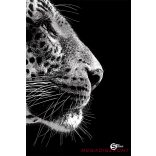 Beírókönyv sima STREET A/4 96 lapos S-Line keményfedelű vegyes mintákkal