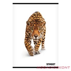 Füzet sima STREET A/4 54 lapos Safari