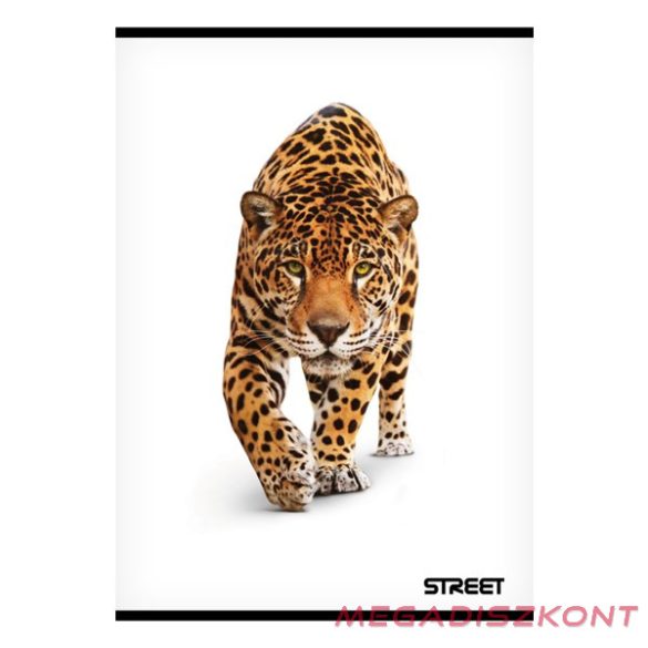 Füzet sima STREET A/4 54 lapos Safari