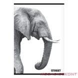 Füzet sima STREET A/4 54 lapos Safari