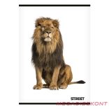 Füzet sima STREET A/4 54 lapos Safari