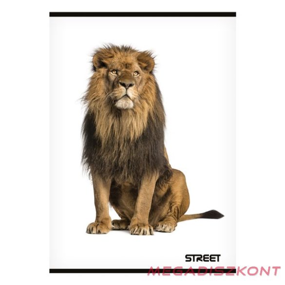 Füzet sima STREET A/4 54 lapos Safari