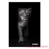 Füzet sima STREET A/4 54 lapos Safari