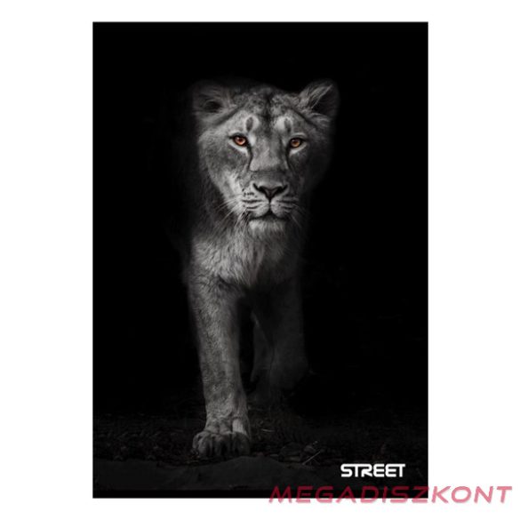 Füzet sima STREET A/4 54 lapos Safari