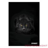 Füzet sima STREET A/4 54 lapos Safari