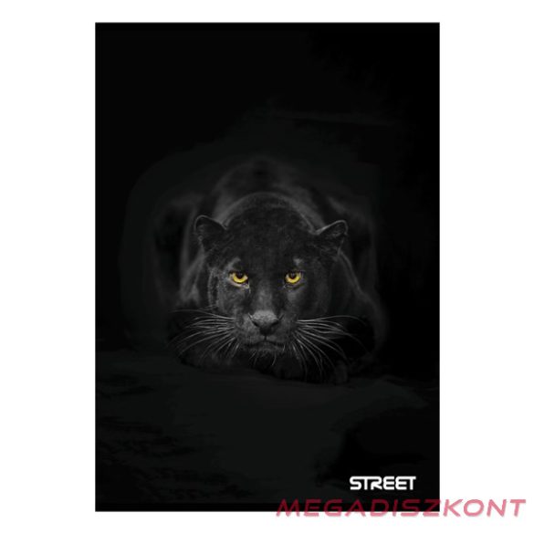 Füzet sima STREET A/4 54 lapos Safari