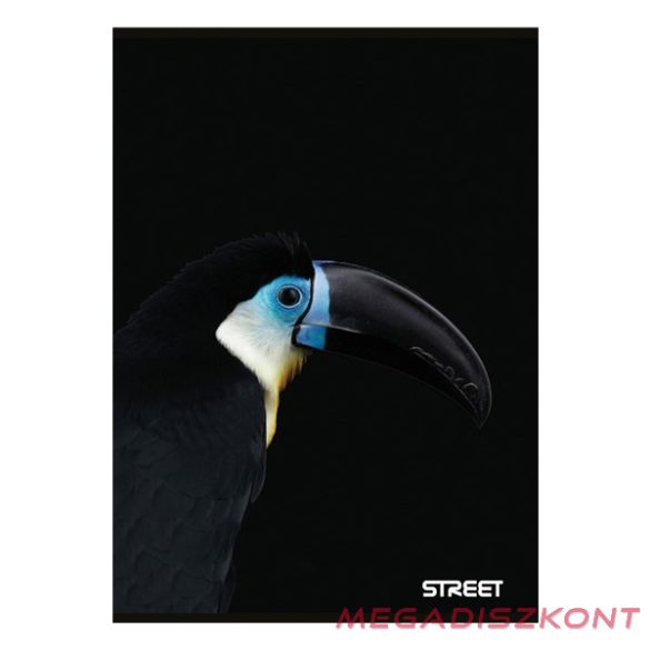 Füzet sima STREET A/4 54 lapos Safari