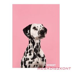 Füzet kockás STREET A/4 54 lapos Friends