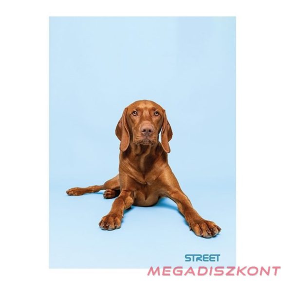 Füzet kockás STREET A/4 54 lapos Friends