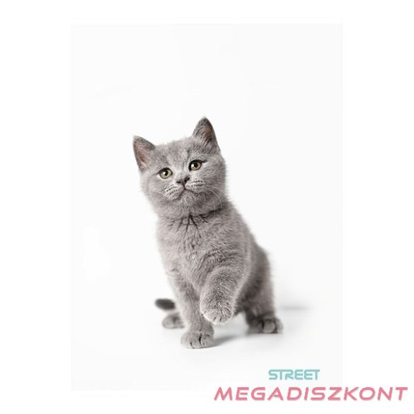 Füzet kockás STREET A/4 54 lapos Friends