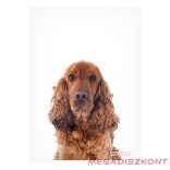 Füzet kockás STREET A/4 54 lapos Friends