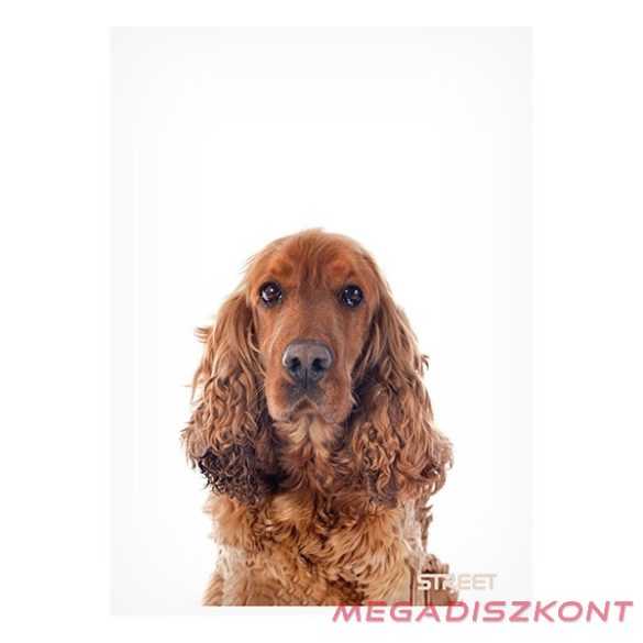 Füzet kockás STREET A/4 54 lapos Friends