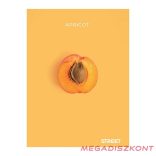 Füzet kockás STREET A/4 54 lapos Fresh