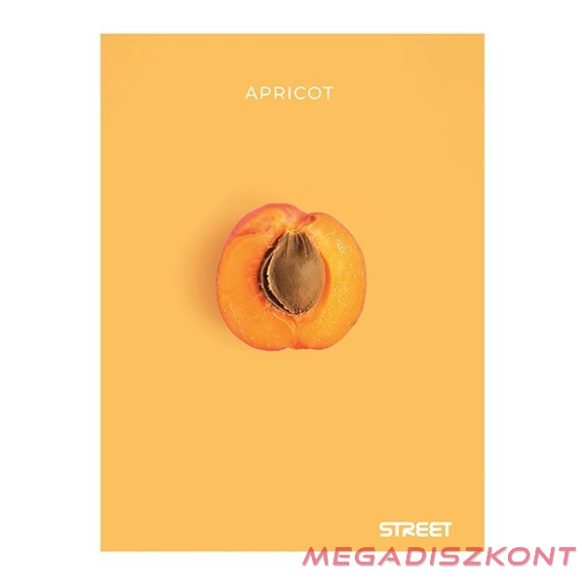 Füzet kockás STREET A/4 54 lapos Fresh