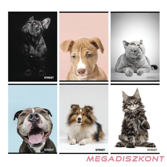 Füzet sima STREET A/4 54 lapos Friends