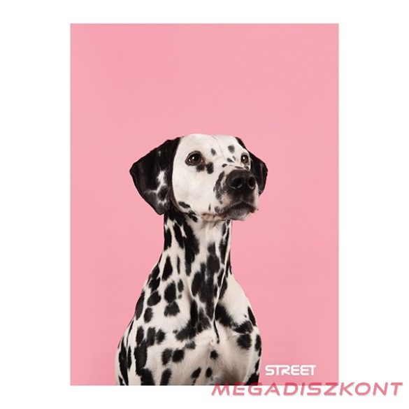 Füzet sima STREET A/4 54 lapos Friends