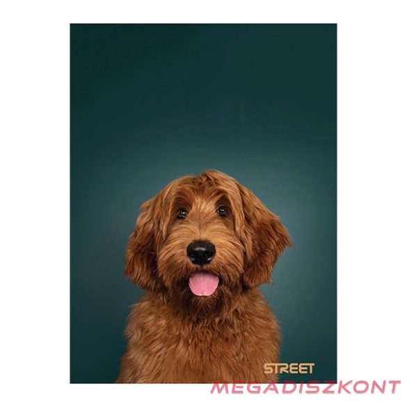 Füzet sima STREET A/4 54 lapos Friends