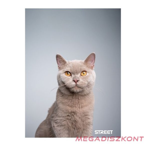 Füzet sima STREET A/4 54 lapos Friends